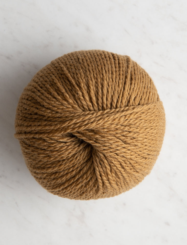 Baby Camel + Merino, Sample Colors, Plant