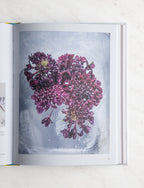 From Plant to Pigment