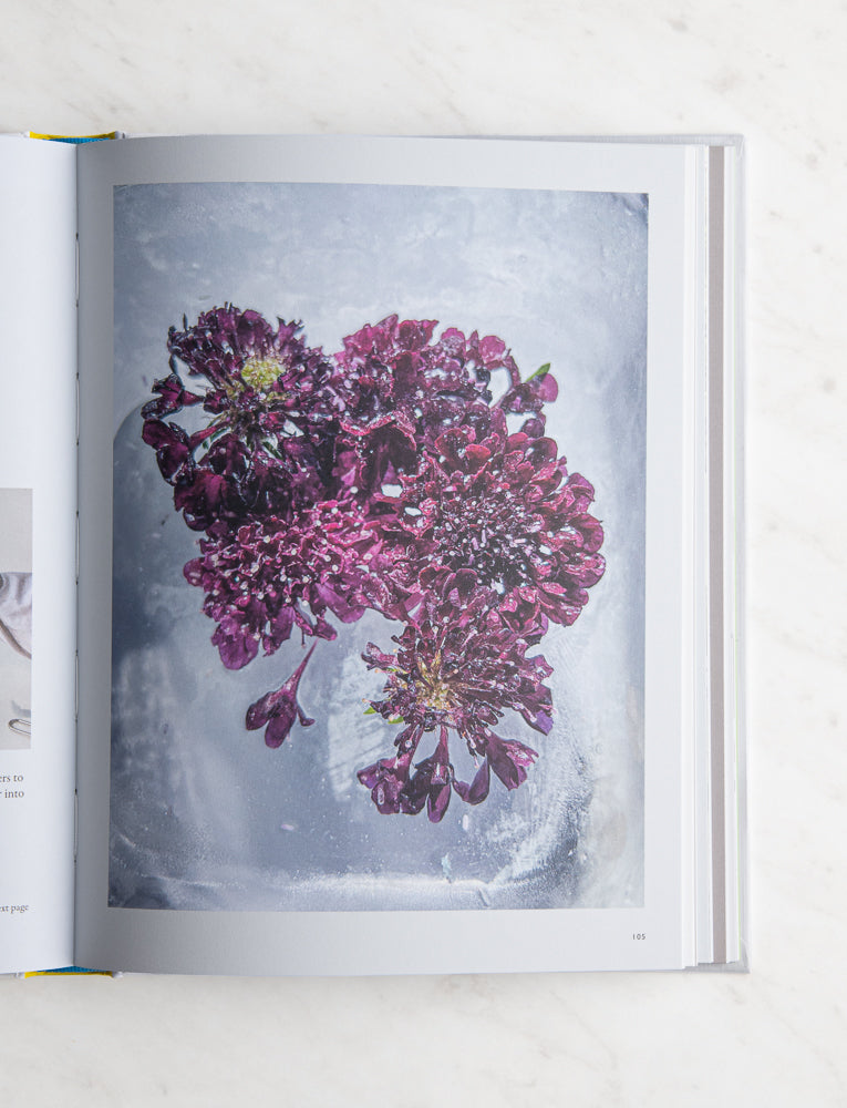 From Plant to Pigment