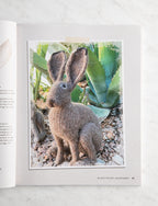 Wild and Woolly Knitted Animals