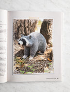 Wild and Woolly Knitted Animals