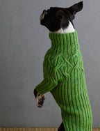 Botanical Yoke Dog Sweater Pattern Download