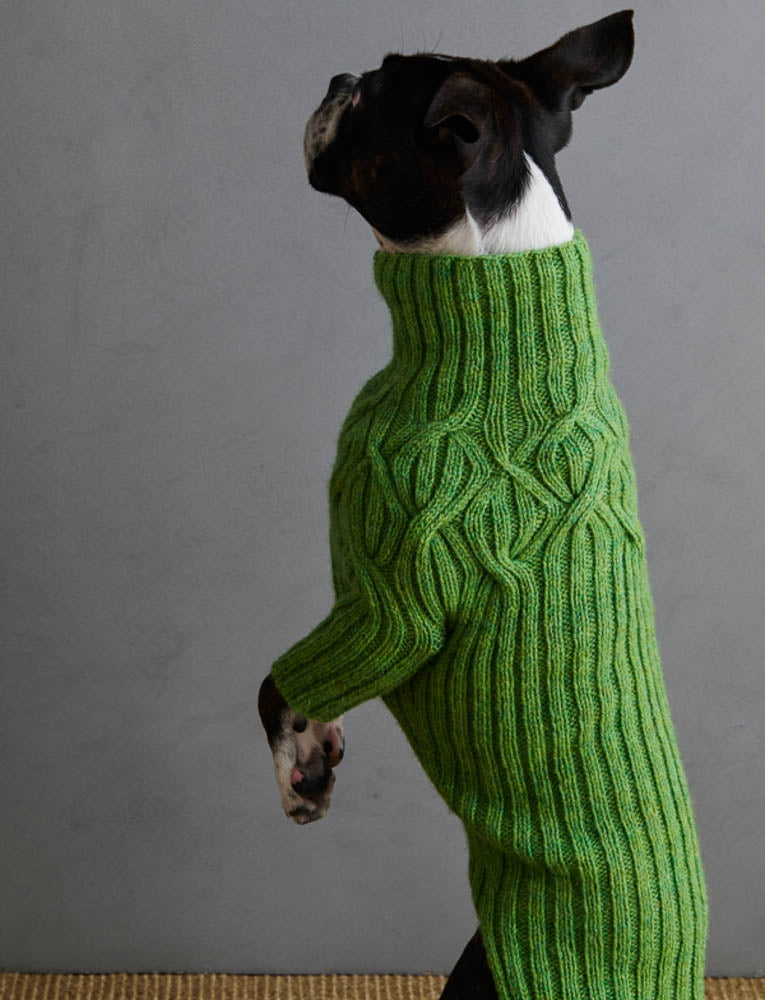 Botanical Yoke Dog Sweater Pattern Download