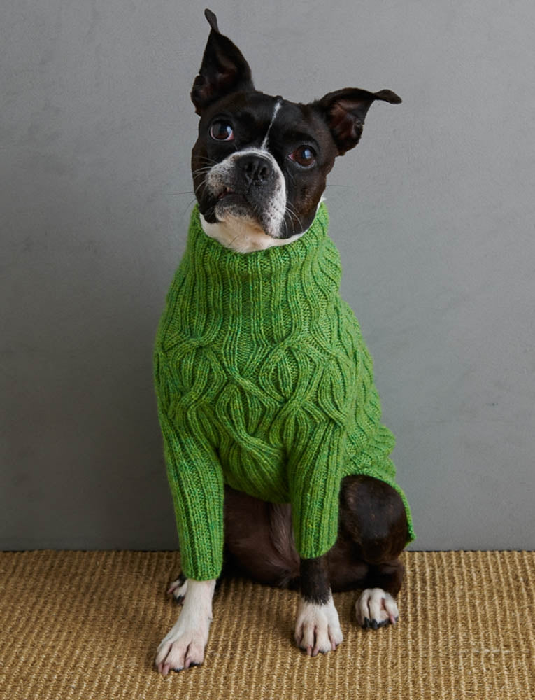 Botanical Yoke Dog Sweater Pattern Download