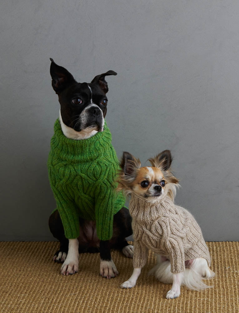 Botanical Yoke Dog Sweater Pattern Download