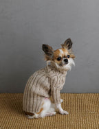 Botanical Yoke Dog Sweater Pattern Download