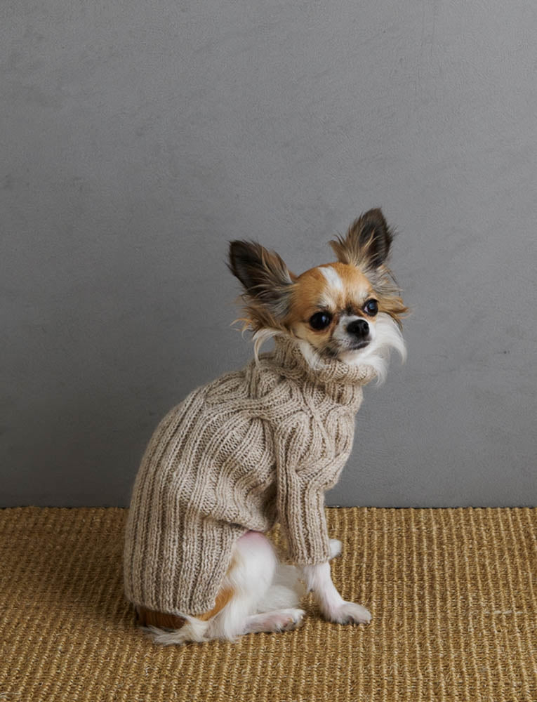 Botanical Yoke Dog Sweater Pattern Download