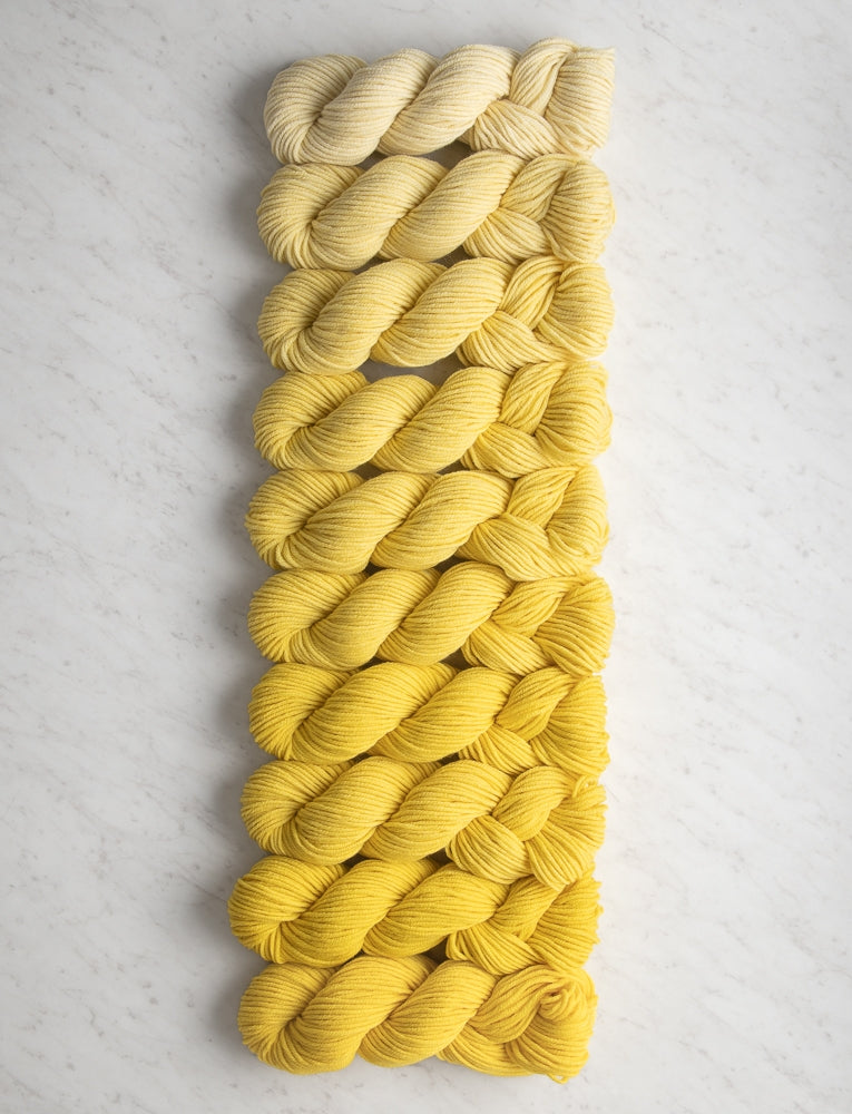 Ten-Note Bundles, Sample Colors, Daffodil