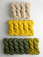 Color Study Blanket Bundle, Cornfield, Throw