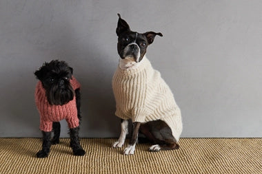 Sole Salvo For Purl Soho: Dog Park Sweater