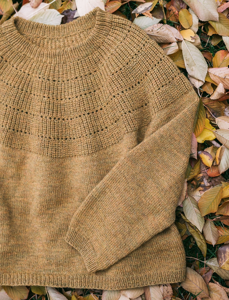 Larch Pullover