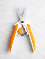 Easy Action Micro Tip Scissors, 6 inches