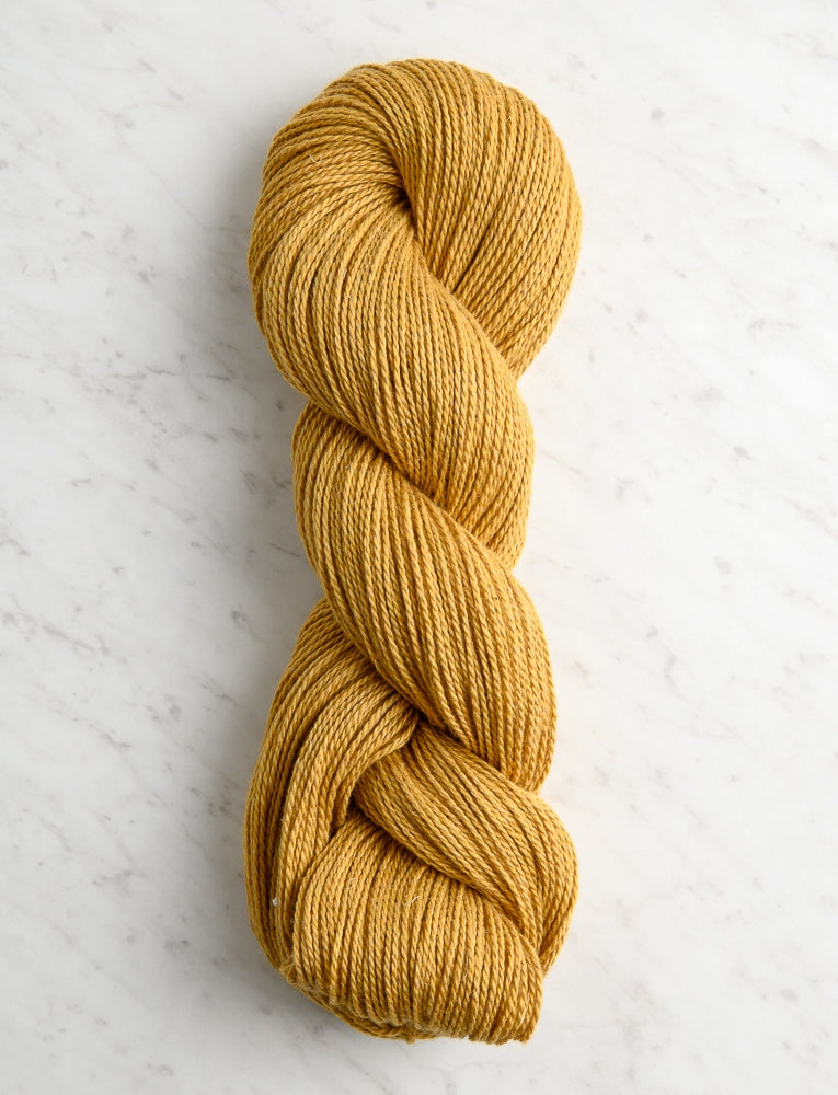 Santolina, Golden Pollen