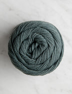 Gray Spruce