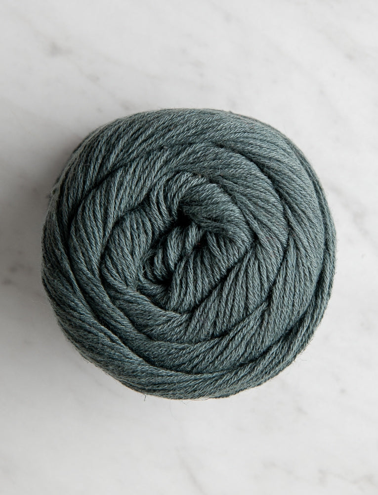 Gray Spruce