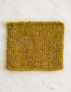 House Wren + Golden Lichen