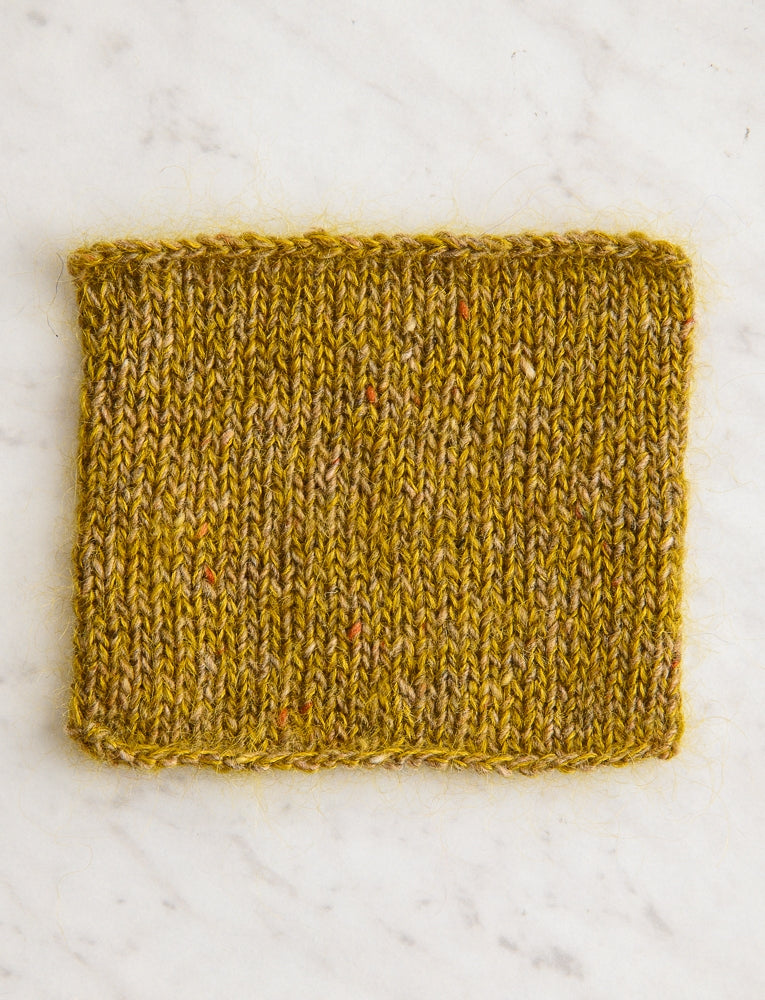 House Wren + Golden Lichen