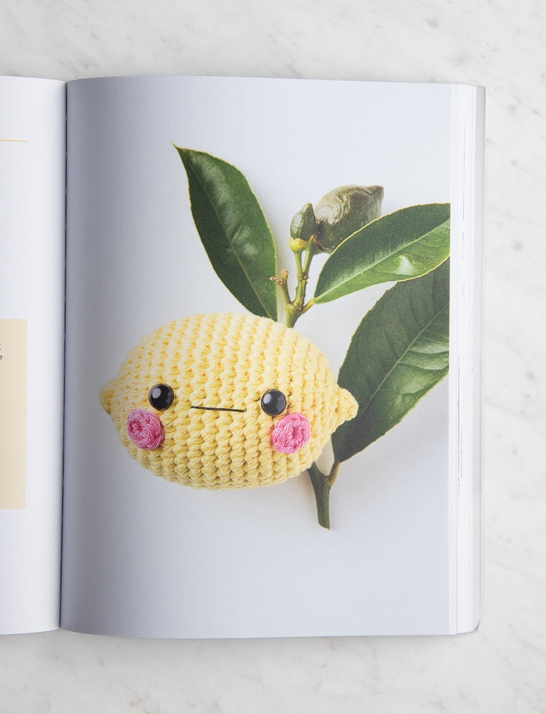 You Will Be Able to Crochet Amigurumi by the End of This Book