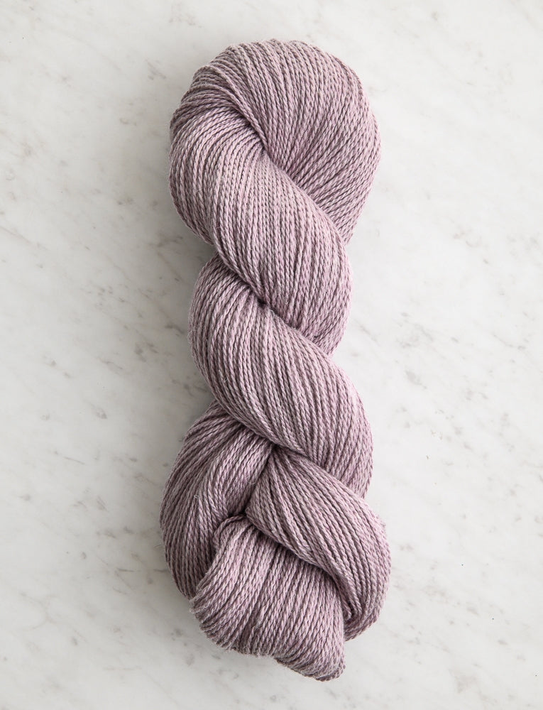 Santolina, Lilac Mauve