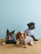 Lucky Dog Sweater Pattern Download
