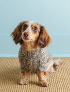 Lucky Dog Sweater Pattern Download