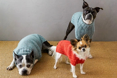 Sole Salvo For Purl Soho: Lucky Dog Sweater