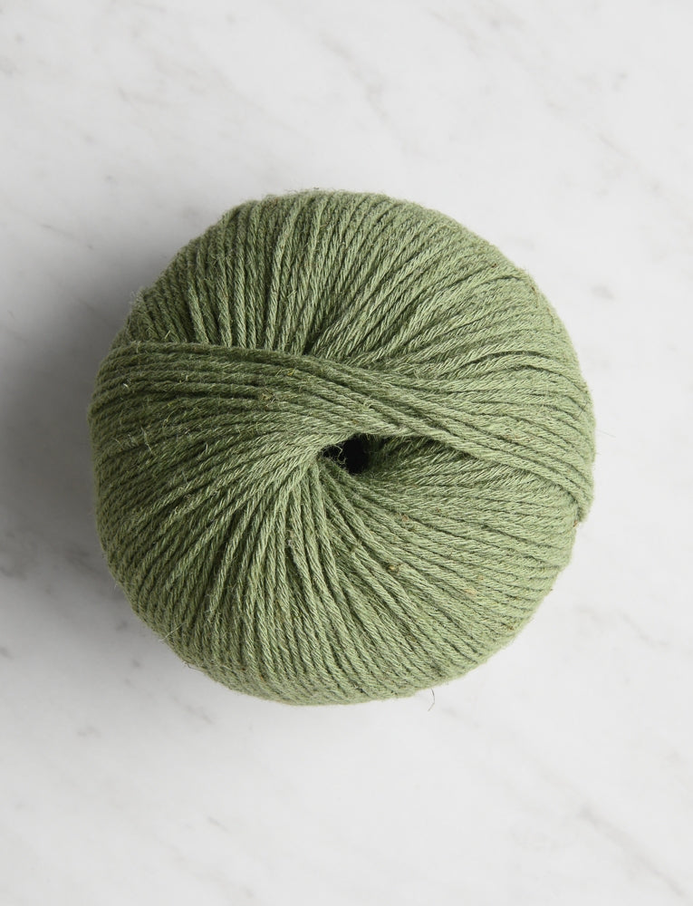 Field Notes, Oregano Green