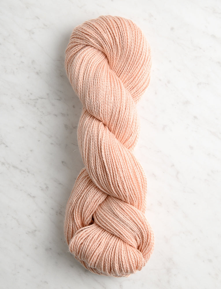 Santolina, Peach Lily