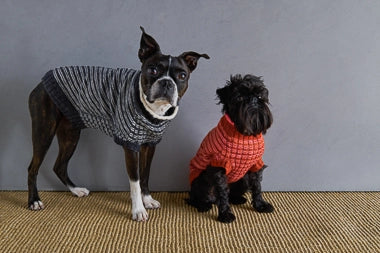 Sole Salvo For Purl Soho: Pinstripe Dog Sweater