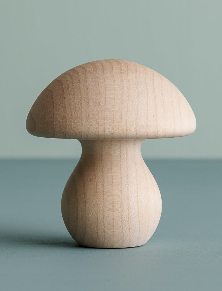 Mending Mushroom, Porcini