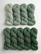 Juniper
