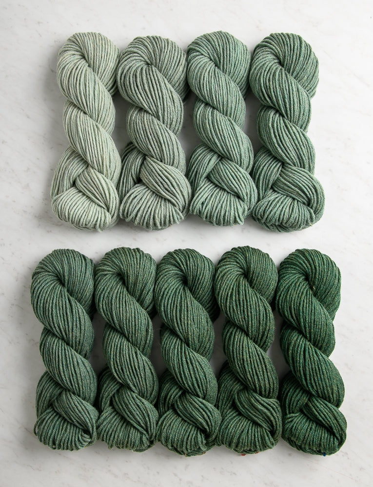 Juniper