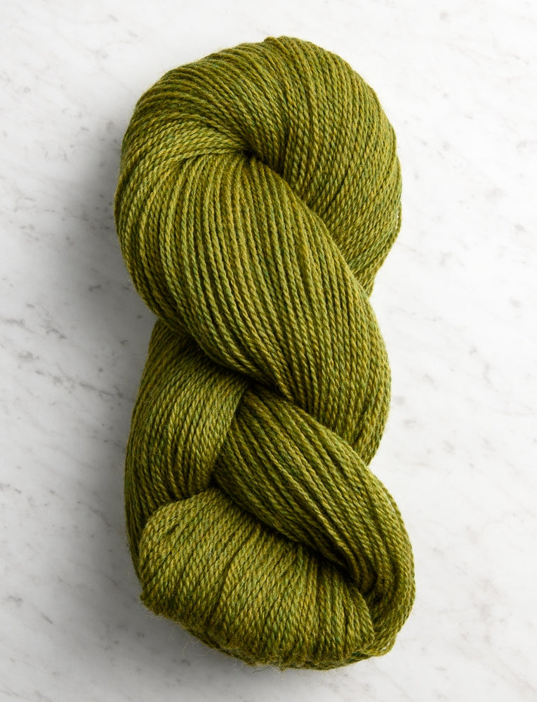 Good Wool, Olive Oil