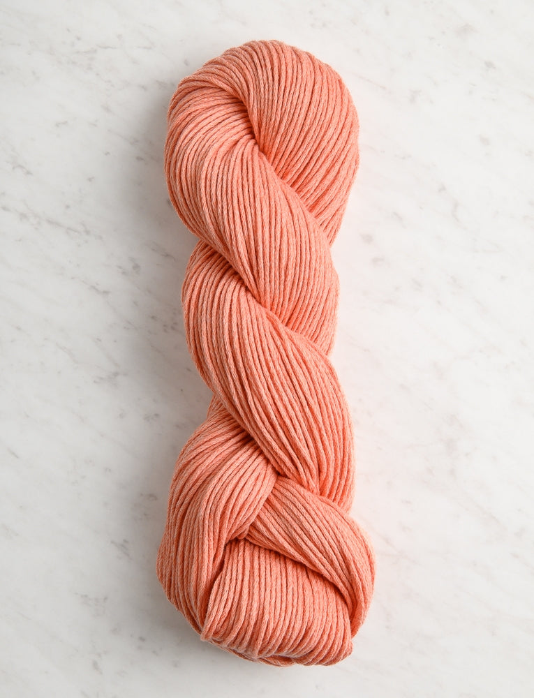 Morning, Sweet Apricot