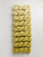 Nine-Note Bundle, Pomelo