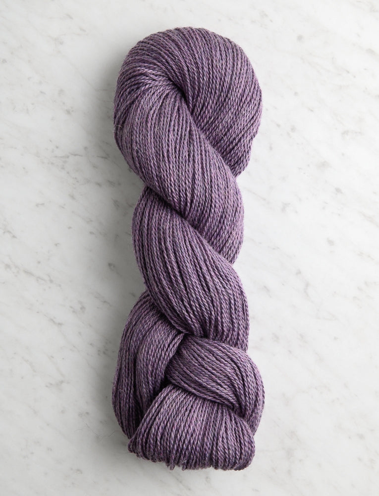 Santolina, Purple Moor