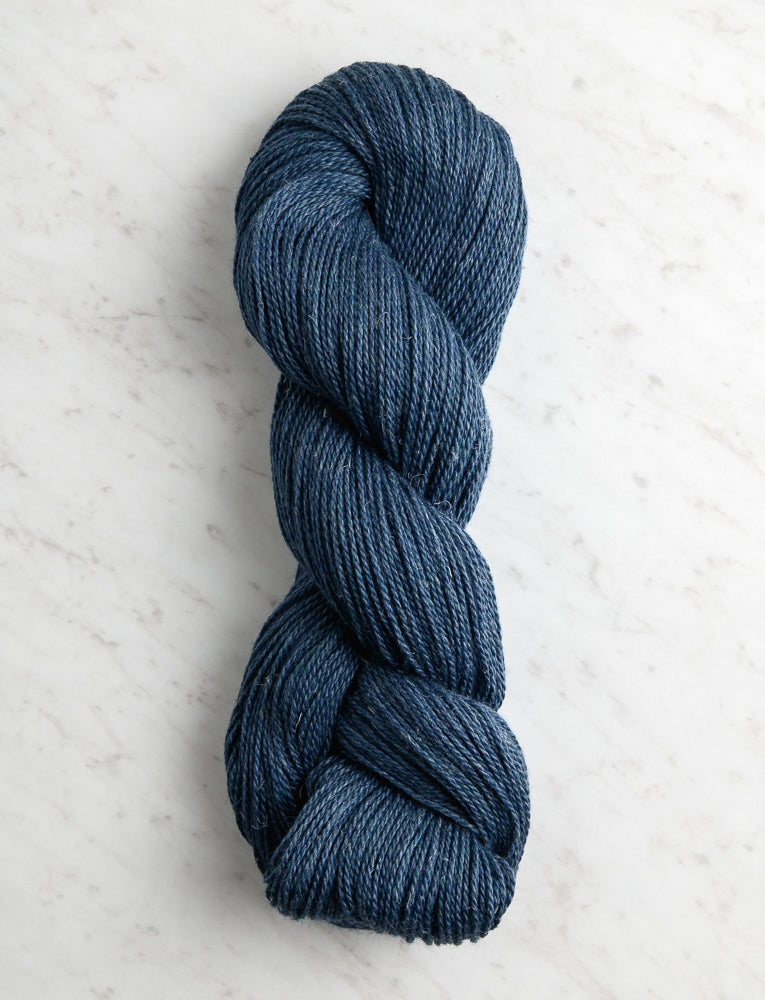 Santolina, Teal Spruce