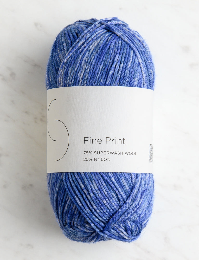 Fine Print, Blue Jay