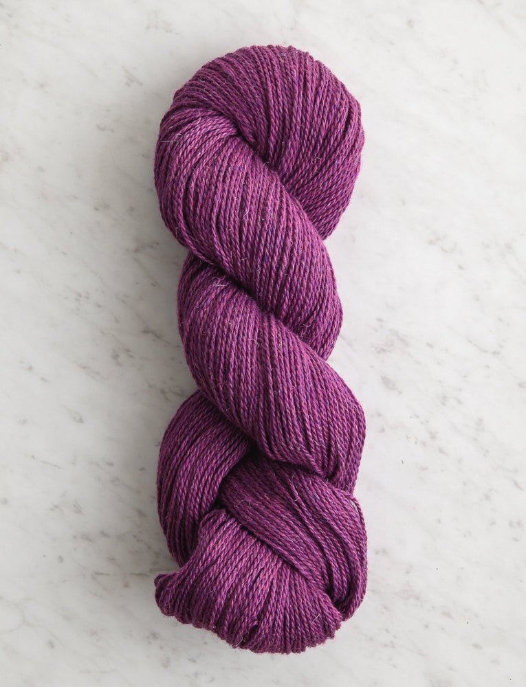 Santolina, Purple Clover