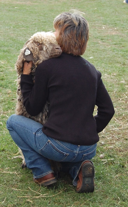 Journey to the Source – Rhinebeck Sheep and Wool Festival | Purl Soho