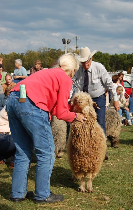 Journey to the Source – Rhinebeck Sheep and Wool Festival | Purl Soho