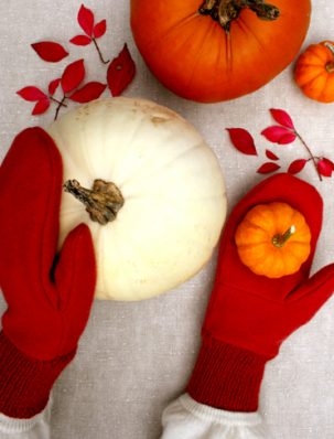 Felt Mittens with Knitted Cuffs | Purl Soho