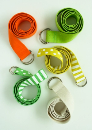 D-Ring Belts | Purl Soho