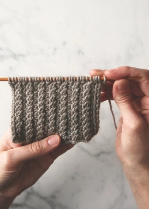 Mock Cable Rib | Purl Soho