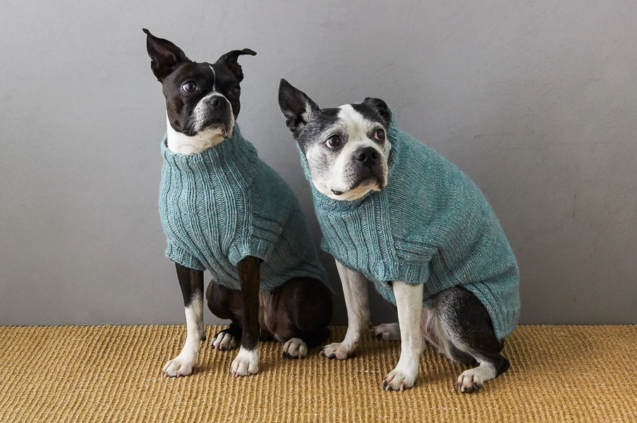 Sole Salvo For Purl Soho: Lucky Dog Sweater | Purl Soho