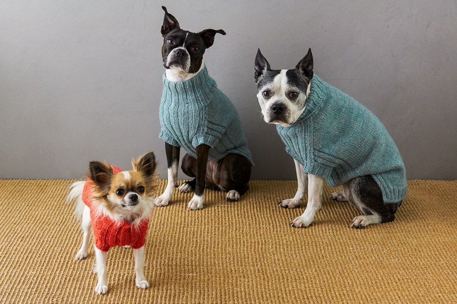 Sole Salvo For Purl Soho: Lucky Dog Sweater | Purl Soho