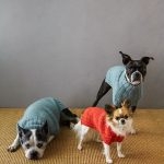 Sole Salvo For Purl Soho: Lucky Dog Sweater