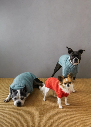 Sole Salvo For Purl Soho: Lucky Dog Sweater | Purl Soho