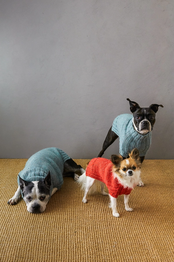 Sole Salvo For Purl Soho: Lucky Dog Sweater | Purl Soho