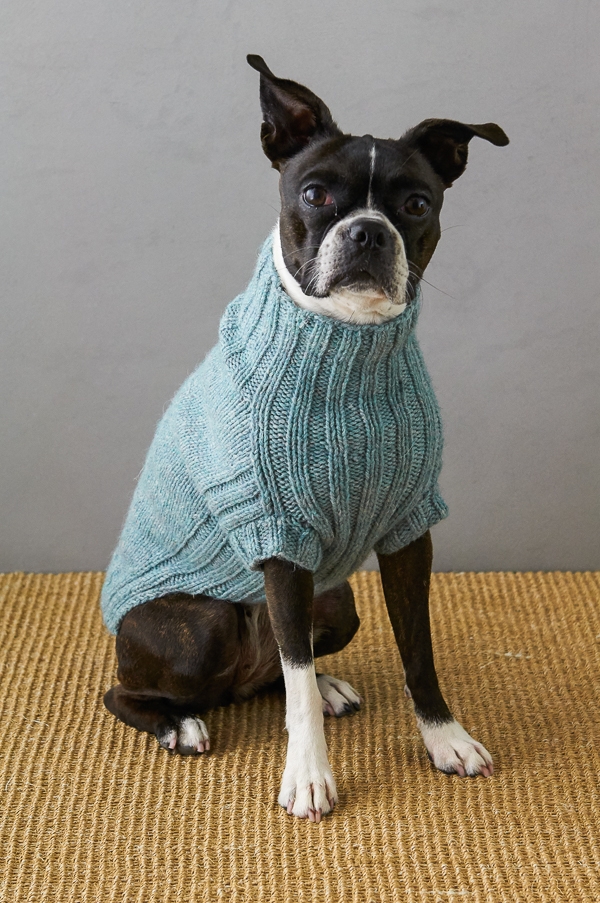 Sole Salvo For Purl Soho: Lucky Dog Sweater | Purl Soho